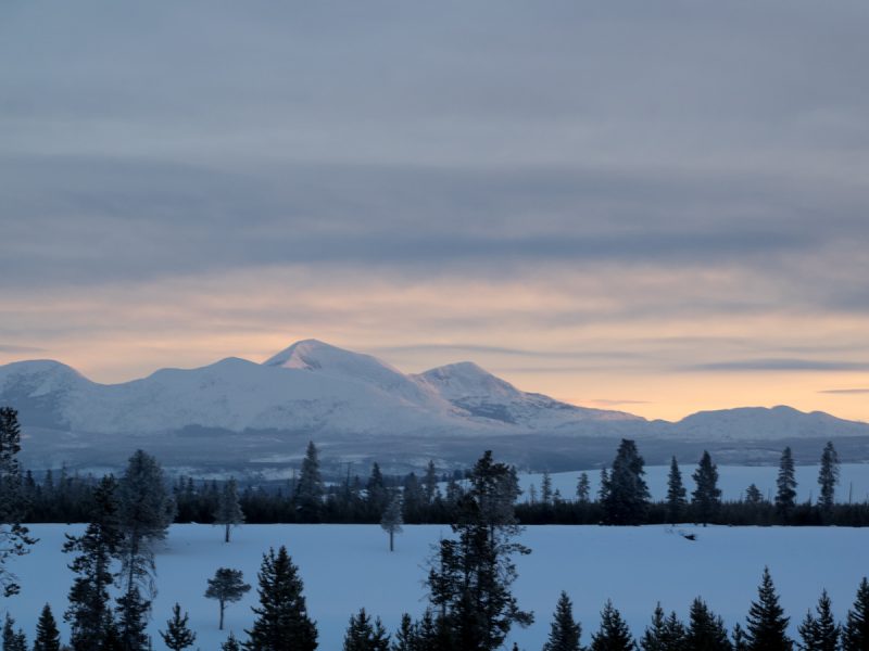 Galatin Mountains at dawn