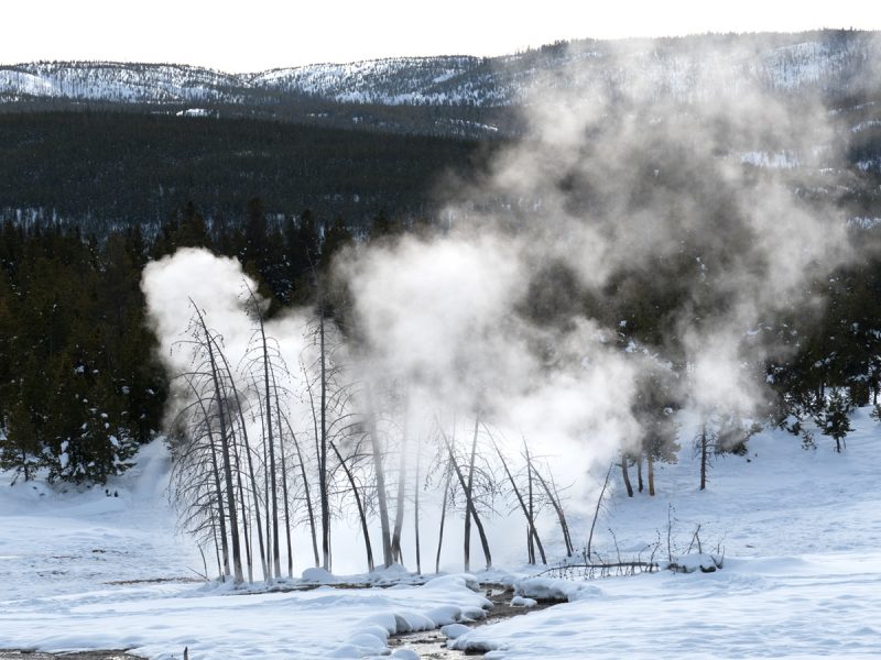 Upper Geyser Basin